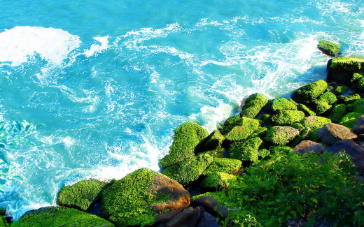 455864 (a): :1920x1200